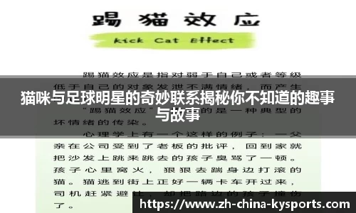 猫咪与足球明星的奇妙联系揭秘你不知道的趣事与故事